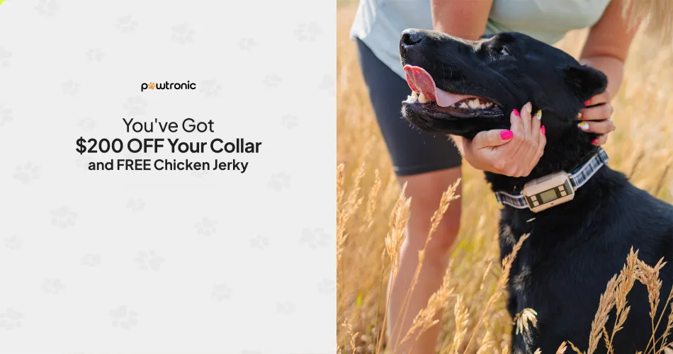 Pawtronic GPS Fence
